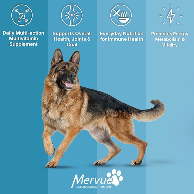 Mervue Multivitamin + Immune Support for Dogs (30 Day Supply) | Pre-Measured Large Dog Vitamins in Gel Packets – Multivitamin for Dogs w/Beta-Glucans & Vitamin C for Energy & Healthy Coat
