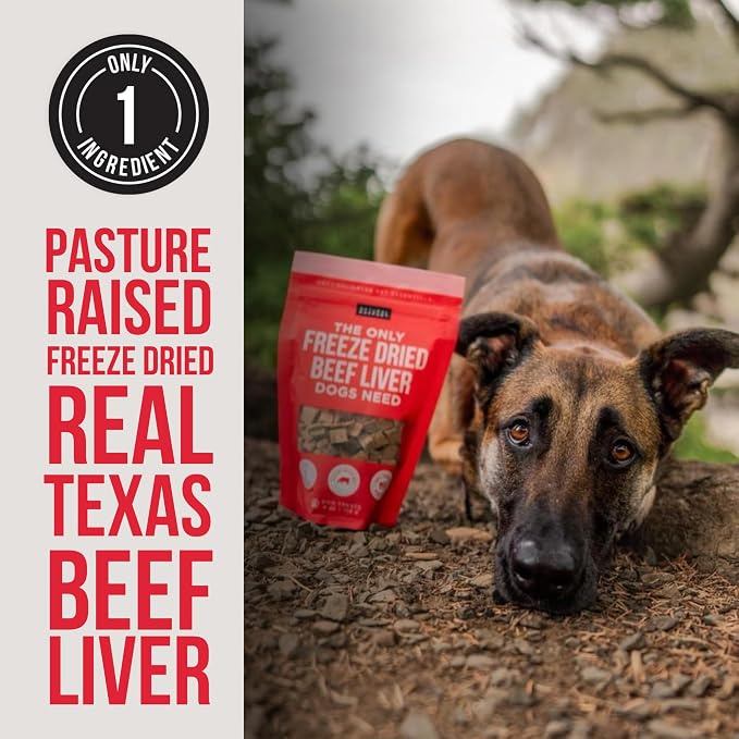 Natural Rapport Freeze-Dried Beef Liver Treats, Single Ingredient, 8 oz