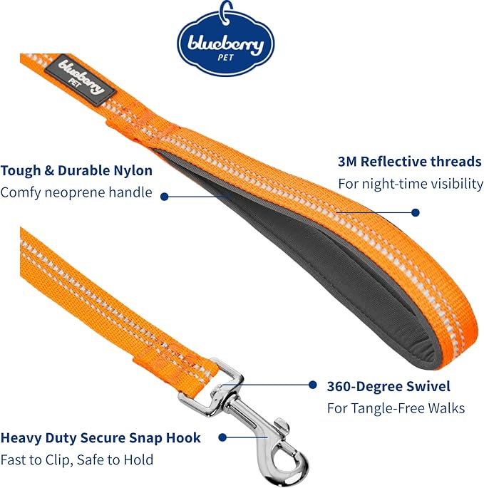 Blueberry Pet 3M Reflective Pastel Color Dog Leash with Soft & Comfortable Handle, 4 ft x 1", Orange Peel, Large, Leashes for Dogs