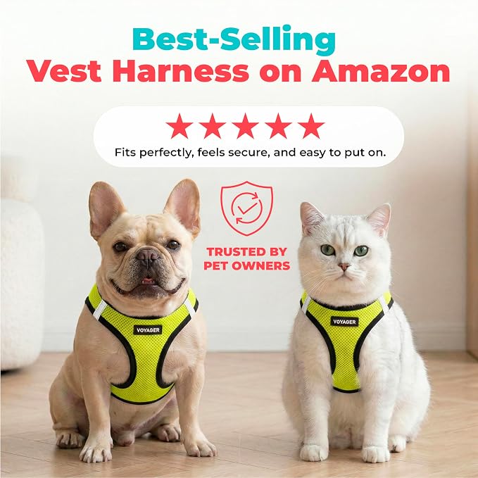 Voyager Step-in Air Dog Vest Harness - Lime Green/Black Trim, X-Small | 13 - 14.5" in Chest, Reflective Bands, All Weather Breathable Air Mesh, Cats Compatible, Lightweight, Fast Drying