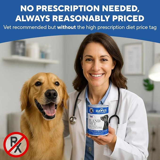 Dave's Pet Food Bland Diet Dog Food, Turkey & Rice, 13.2 oz, 12 pk