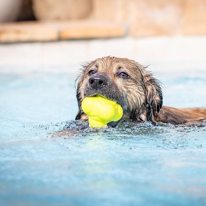 Hyper Pet Fetching Dog Toys - Throwing Bumpy Ball Dog Toy Made with EVA Foam - Lightweight & Floats on Water