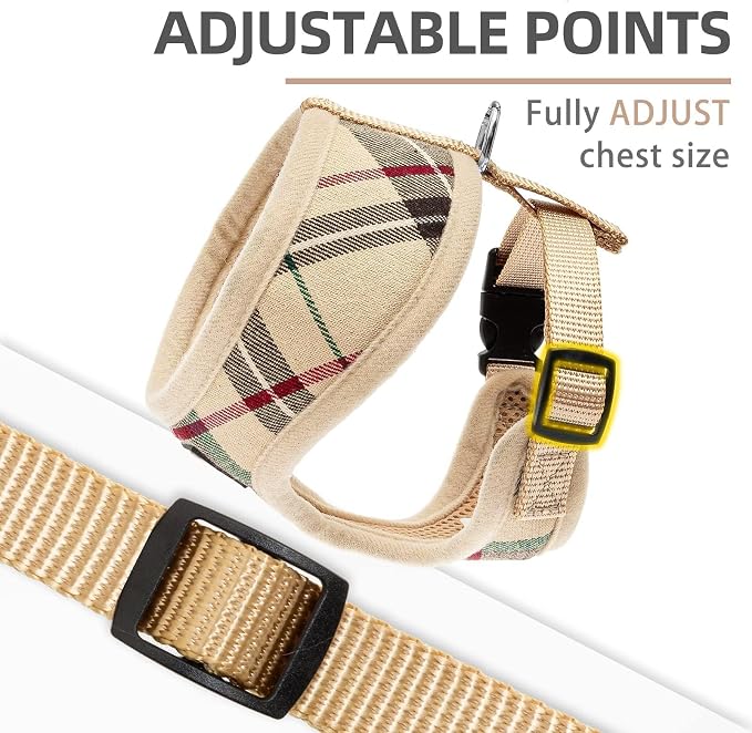PUPTECK Soft Mesh Dog Harness Small Sized and Leash Set Pet Puppy Cat Comfort Padded Vest No Pull Harnesses, Beige, XS