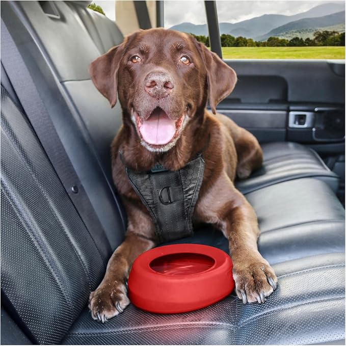Kurgo Splash Free Wander Dog Water Bowl, 24oz, Chili Red