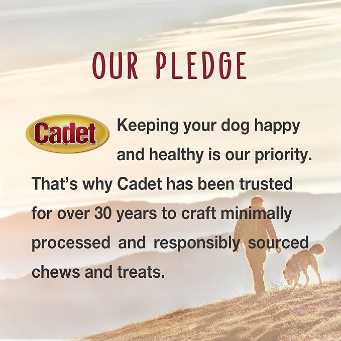 Cadet Stuffed Shin Bone, Long-Lasting Dog Chew Bones for Aggressive Chewers, High Protein Filled Bone Dental Chew for Dogs, Bully Stick Flavor Filling, 5-6" for Large Dogs