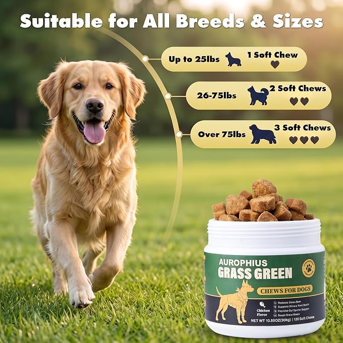 Dog Grass Green Chews for Lawn Burn & Urine Spots, DL-Methionine & Cranberry Supplement, Urine Neutralizer, Supports Urinary Health with Probiotics & Enzymes, 120 Ct