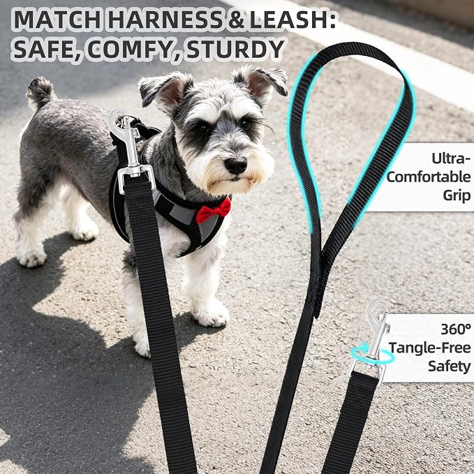 PUPTECK Dog Harness and Leash Set for Small Medium Dogs No Pull Step-in Soft Mesh Puppy Cat Vest Harnesses Reflective at Night, Black Bow Tie