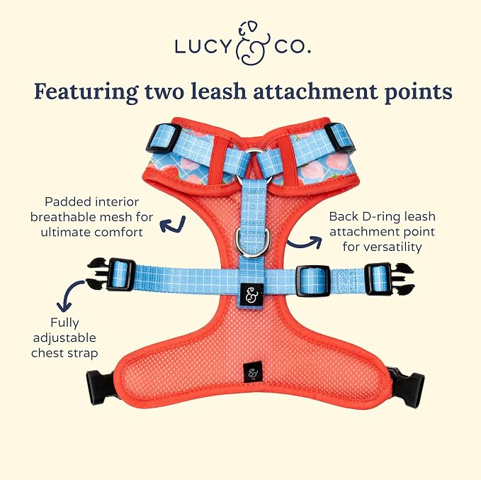 Lucy & Co. The Fresh Berries No-Pull Dog Harness - Size Small- Vest to Stop Pulling & Walk Easy - Comfortable Leash Training Product w/Adjustable Chest & Neck Straps