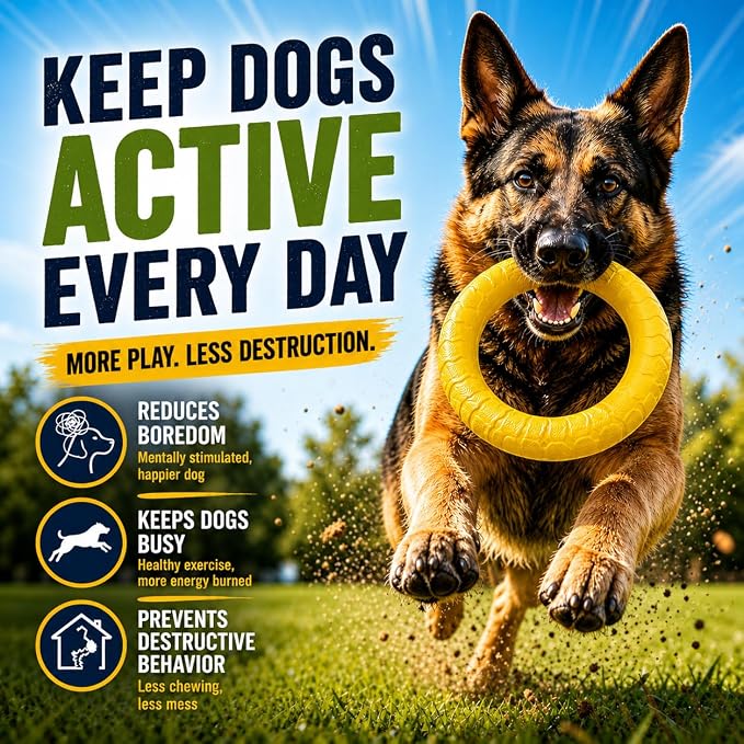 4-Piece Floating Dog Toy Set, Medium & Large Dogs