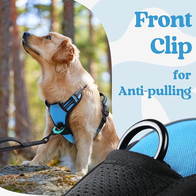 rabbitgoo Dog Harness Medium Sized, Updated Easy On & Off with 3 Buckles | No Pull No Choke, Walking with 2 Clips and Handle, Adjustable Soft Reflective, Sky Blue, Medium
