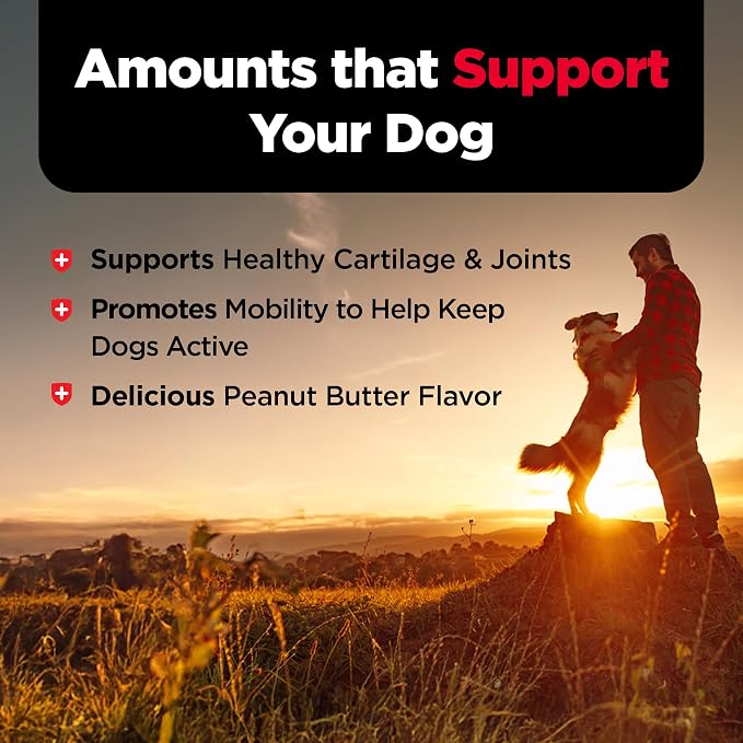 Nutri-Vet Hip & Joint Dog Biscuits, Dog Treats, 200mg Glucosamine, 16oz