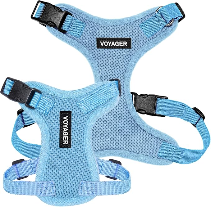 Voyager Step-in Lock Dog Harness - Baby Blue, Medium | 17 - 21" in Chest, Adjustable, Breathable Air Mesh, Lightweight for Daily Walks, Strong Clips, Heavy Duty D-Ring