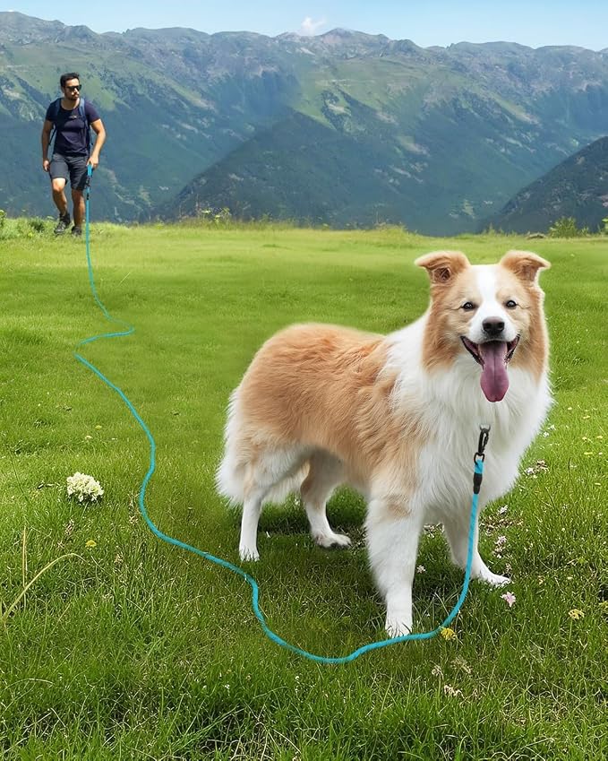 Joytale Long Dog Leash for Yard Tie Out & Recall Training, Blue, 50FT | Secure Locking Carabiner, Removable Padded Handle, Reflective Webbing for Night Safety, Ideal for Outdoor Play and Camping