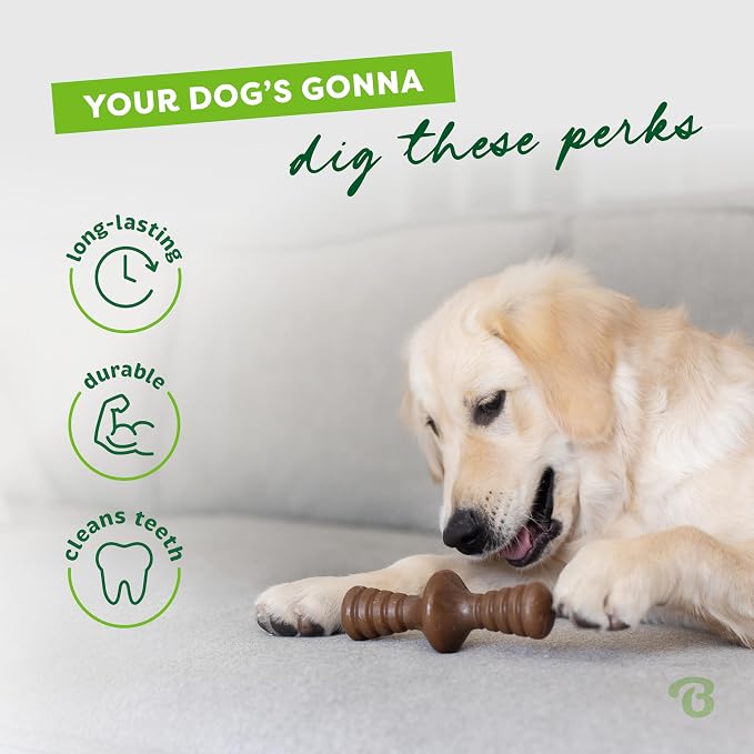 Benebone Zaggler Rolling Dog Chew Toy for Aggressive Chewers, Real Peanut, Made in USA, Medium