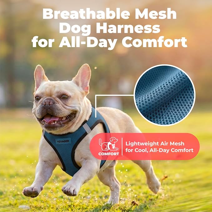Voyager Step-in Air Dog Vest Harness - Blue/Black Trim, Medium | 16 - 18" in Chest, Reflective Bands, All Weather Breathable Air Mesh, Cats Compatible, Lightweight, Fast Drying