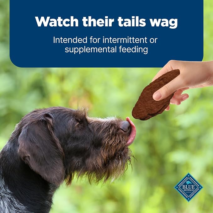 Blue Buffalo Nudges Jerky Cuts Dog Treats, Made in the USA with Natural Ingredients, Steak, 16-oz Bag (Pack of 4)