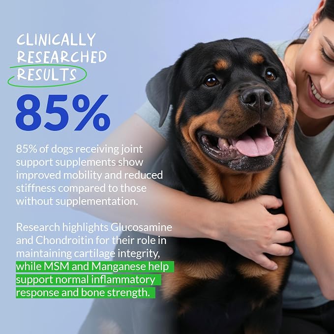 Hip & Joint for Dogs 120 Tablets - Glucosamine, MSM & Chondroitin