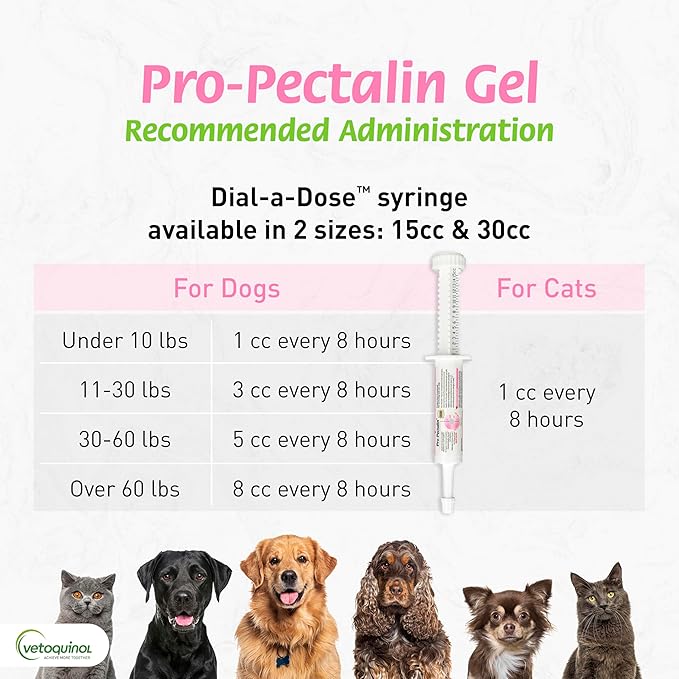 Vetoquinol Pro-Pectalin Oral Paste for Dogs & Cats – Chicken Flavor – Helps Reduce Occasional Loose Stool & Diarrhea, Balance Gut pH, Support Normal Digestion