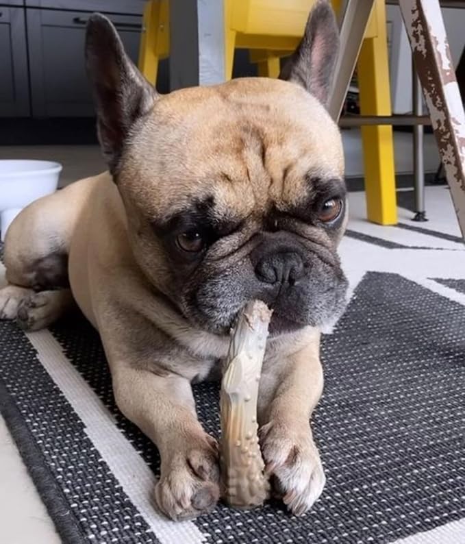 Nylabone Power Chew Antler Alternative Nylon Chew Toy for Dogs, Dog Toys for Aggressive Chewers, Venison Flavor, Medium/Wolf (1 Count) | Splinter-free, durable dog toys for aggressive chewers, long lasting, discourages destructive chewing, for dogs up ...