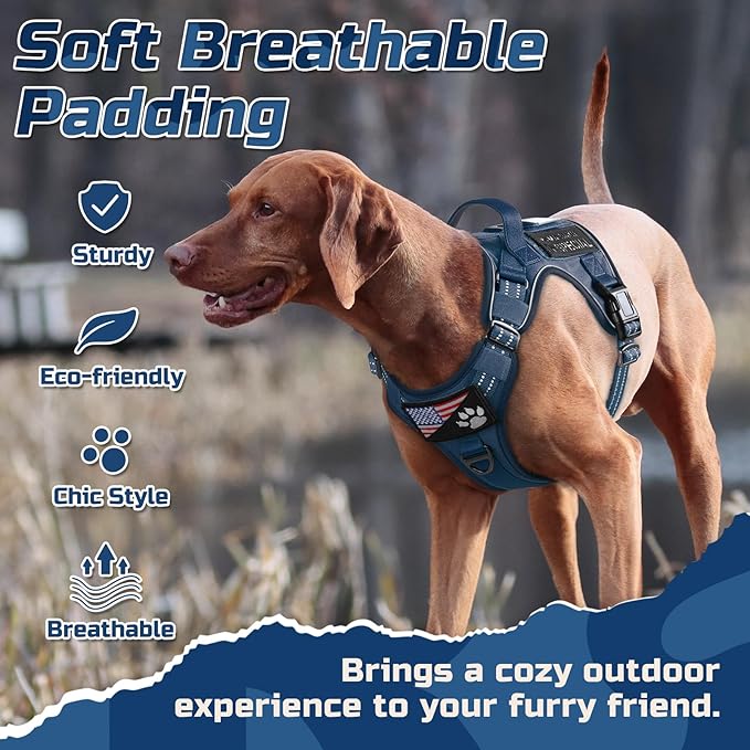 rabbitgoo Tactical Dog Harness for Medium, No Pull Military Service Vest | Molle & Handle, Heavy Duty, Adjustable, Reflective Straps, Easy Control for Training Walking, Blue, Medium
