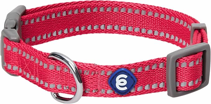 Blueberry Pet Essentials Reflective Dog Collar & Leash Set, Adjustable for Large Dogs | Safe Walking Gear for Pet Parents, Puppy Training & Daily Use LargeDogs, Very Berry