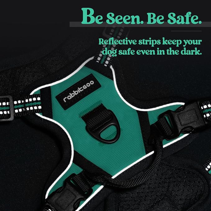 rabbitgoo Dog Harness, No Pull for Small Dogs with 2 Leash Clips, Pet Vest | No Choke with Handle, Adjustable Soft Padded, Reflective, Easy Control for Walking, Turquoise, X-Small
