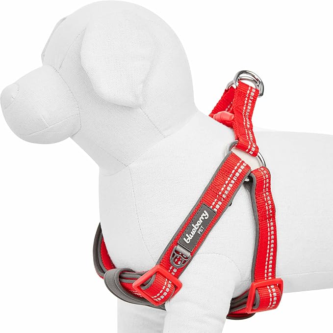 Blueberry Pet Soft & Comfy 3M Reflective Step-in Pastel Color Padded Dog Harness, Chest Girth 16.5" - 21.5", Red, Small, Adjustable Harnesses for Dogs
