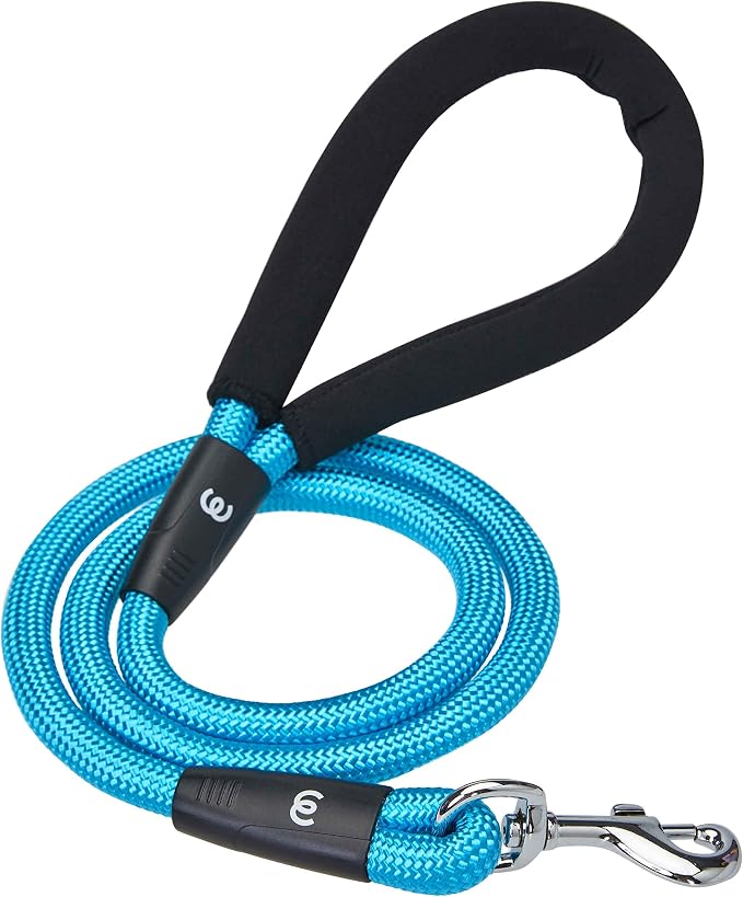 Blueberry Pet Essentials Rope Leash 4 ft Heavy Duty, Neoprene-Padded Grip, Eco-Friendly & Durable in Turquoise for Medium & Large Dogs