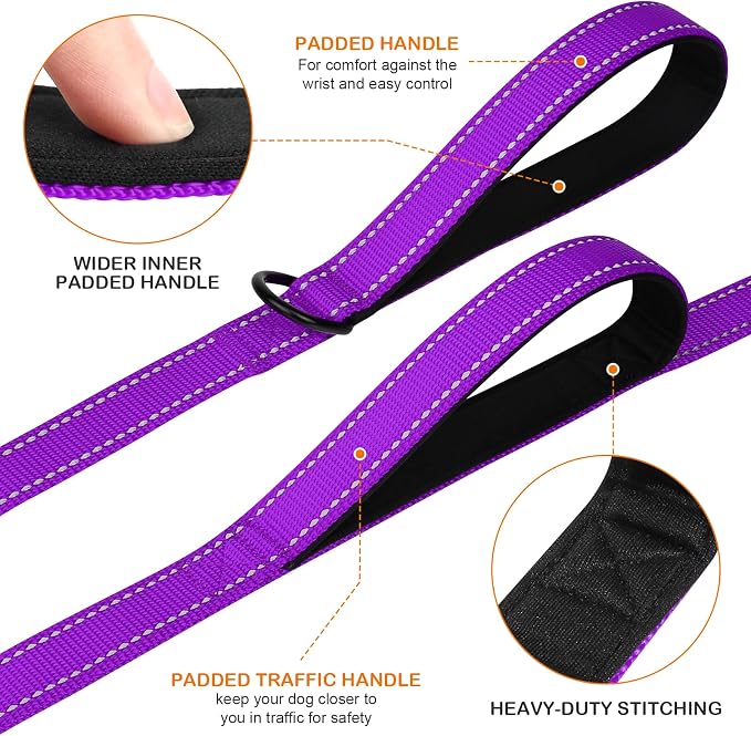 Joytale Martingale Dog Collar(18.5-25"), 6FT Double Handle Dog Leash for Training, Purple