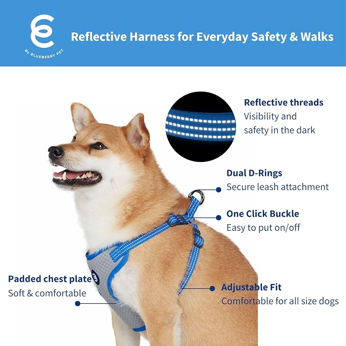 Blueberry Pet Essentials Back to Basics Reflective Dog Harness Vest, French Blue, Small, Adjustable Harnesses for Dogs