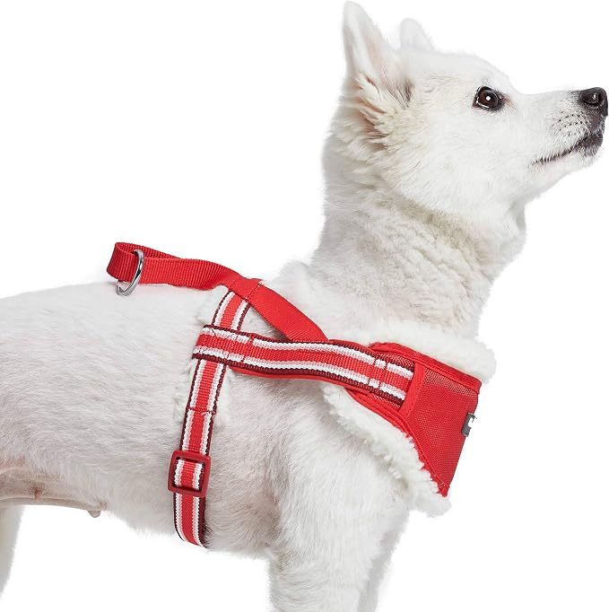 Blueberry Pet Soft & Comfy Multi-Colored Stripe Fleece Padded Chest Dog Harness, Chest Girth 20.5" - 26", Red, Medium, Adjustable No Pull Training Harness for Dogs