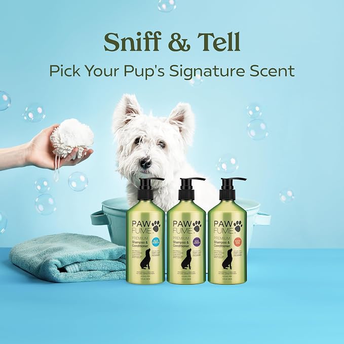 PAWFUME Dog Shampoo and Conditioner, Blue Ribbon, 2-Pack | Probiotic pH-balanced formula nourishes, detangles and deep cleans for silky coat, Puppy Shampoo and Conditioner