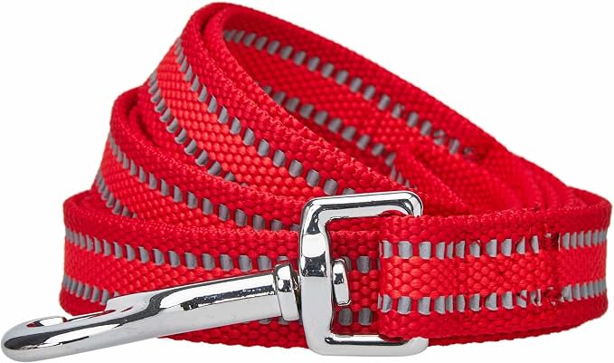 Blueberry Pet Essentials Reflective Better Basics Dog Leash, Rouge Red, 4 ft x 1", Large, Leashes for Dogs