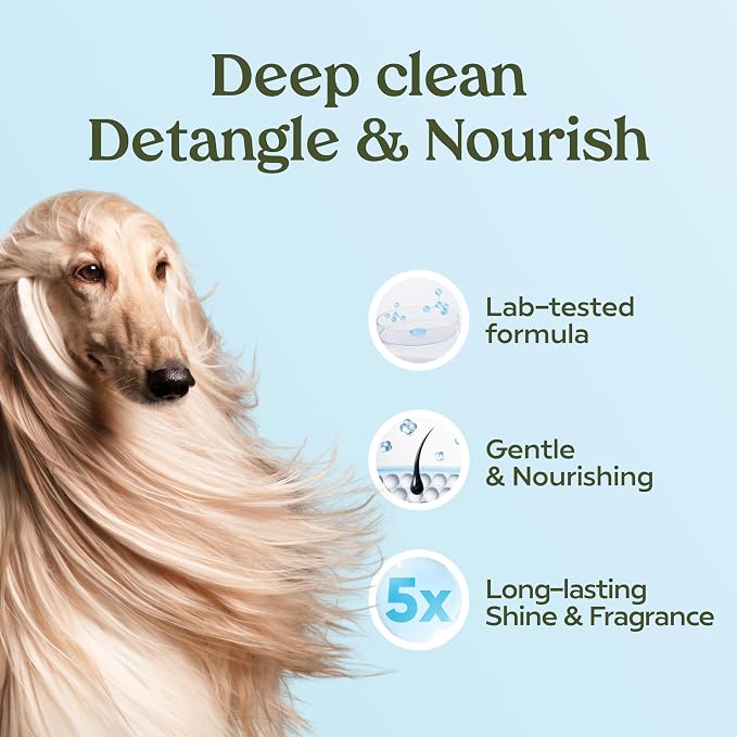 PAWFUME Dog Shampoo and Conditioner, Blue Ribbon, 1-Pack | Probiotic pH-balanced formula nourishes, detangles and deep cleans for silky coat, Puppy Shampoo and Conditioner