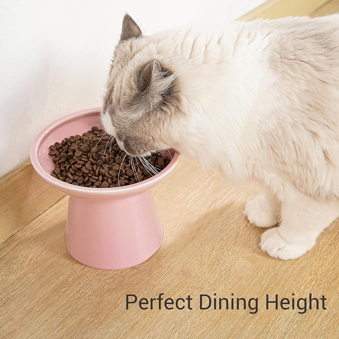 CEEFU Extra Wide Elevated Ceramic Cat Bowl, 6.2" Shallow Dish for Whisker Fatigue Relief, 5" Height for Easy Feeding, Durable Raised Cat Food Bowls, Pack of 2, Pink
