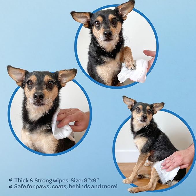 Best Pet Supplies Coconut-Scented Grooming Wipes, 100 Count