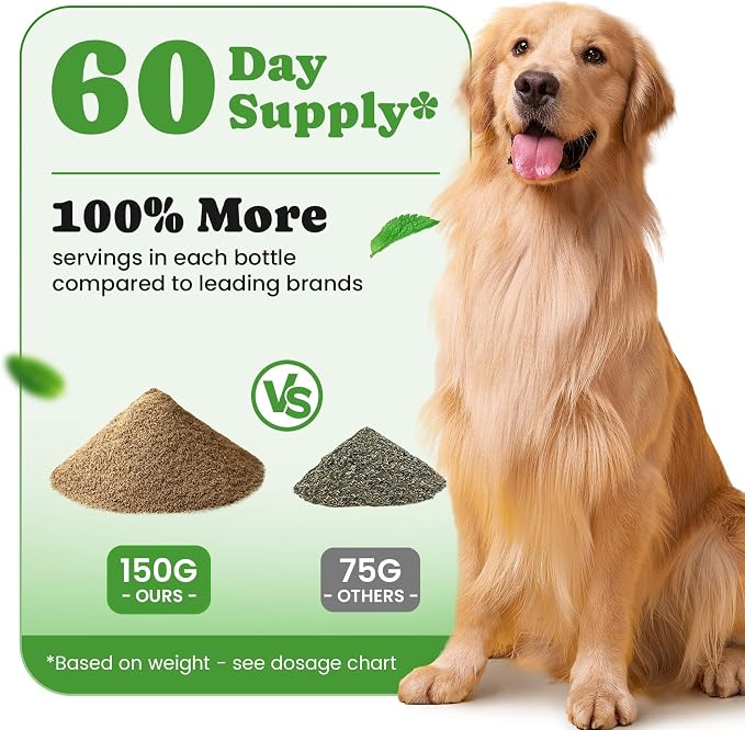 Digestive & Skin Support Chews + Dental Care Powder - Probiotics with Enzymes for Gut Comfort & Itch Ease, Tartar Control & Fresh Breath for Dogs & Cats - 180 Chews + 150g Powder