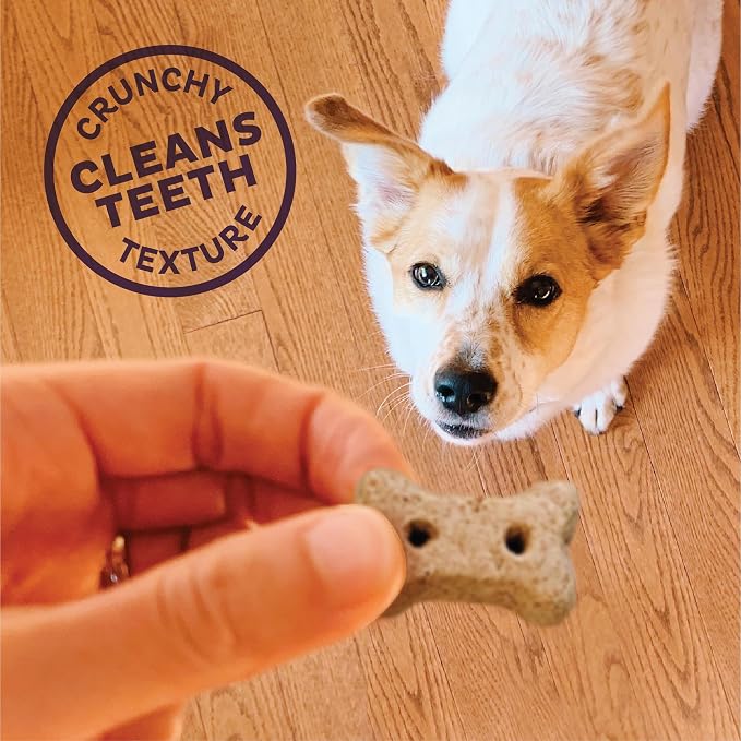 Old Mother Hubbard by Wellness Classic Natural Puppy Treats, Crunchy Oven-Baked Biscuits, Ideal for Training, Mini Size Dog Treats, 20 Ounce Bag (Pack of 2)