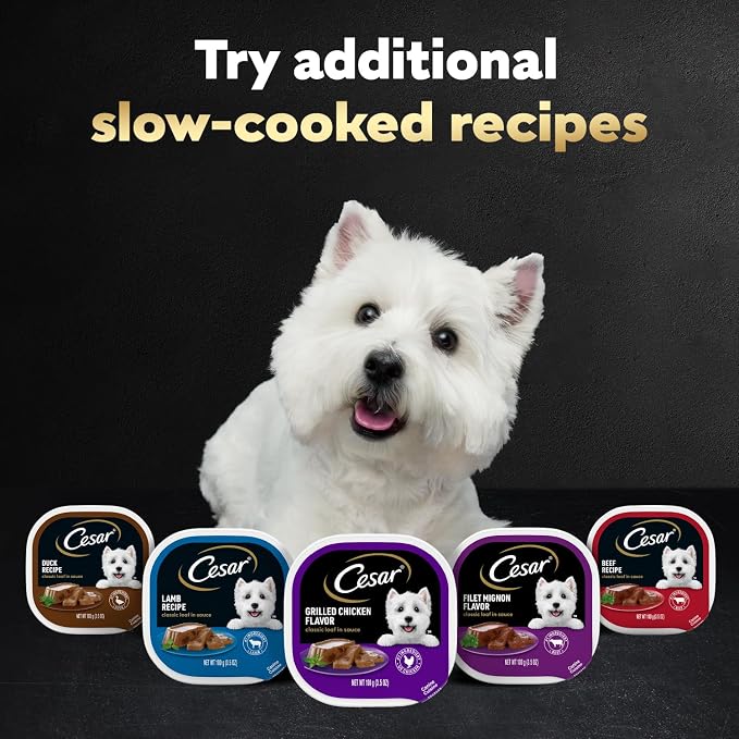 Cesar Classic Loaf in Sauce Adult Wet Dog Food Grilled Steak & Eggs Flavor, 3.5 oz Easy Peel Trays, 24 Count (Pack of 2)