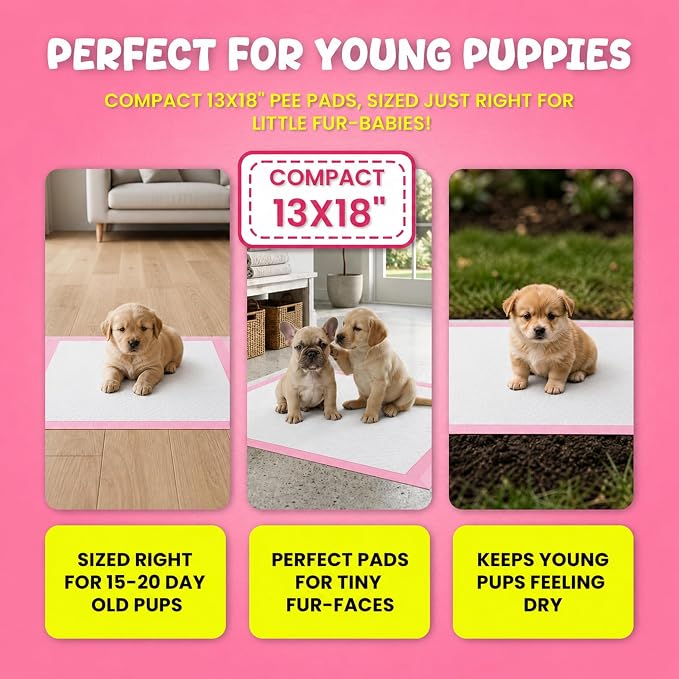 FPN Puppy Pads for Dogs 100 Count Pink Small 13X18 Inch | Disposable Pee Pads for Puppies & Small Dogs | Pet Training Pads for Potty Training, Small Dog Pee Pads, Puppy Pads Bulk