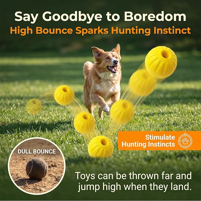 4Pack Dog Balls - Durable Dog Toys for Chewers, Interactive Fetch & Training, Floats in Water (2Pcs 3.54in/2Pcs 2.76in)