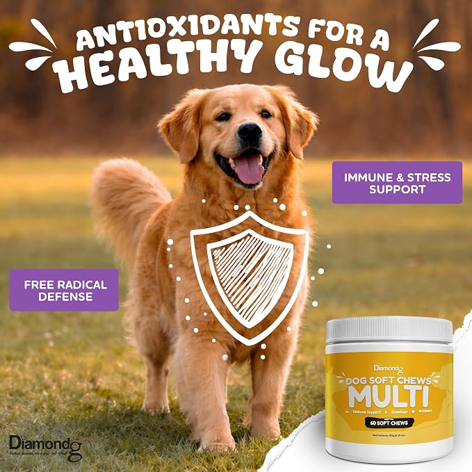 Diamondg Dog Mutivitamin Chews with Turkey Tail & Probiotics, 60ct