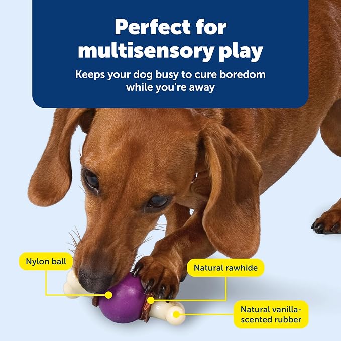 PetSafe Busy Buddy Bouncy Bone Treat Holding Dog Chew Toy, Small | Relieves Boredom and Anxiety, 6 Rawhide Treat Rings Included, Top-Rack Dishwasher Safe, Best for Dogs up to 10 Lb