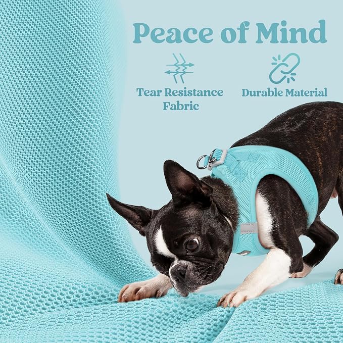 rabbitgoo Step-in Small Dog Harness, Puppy Vest for Small Medium Sized Pet | Easy Put on and off, Lightweight, Soft, Breathable Quick-Dry Air Mesh for Comfortable Secure Walking, Mint Blue L