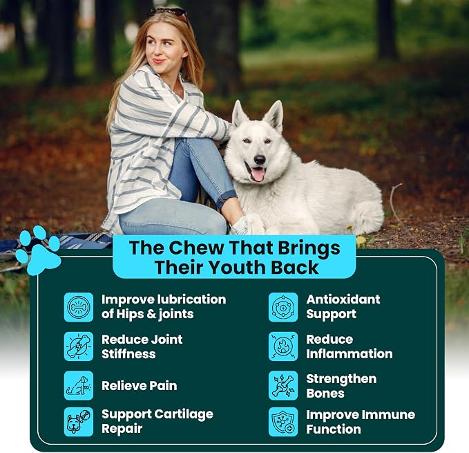 Glucosamine for Dogs Hip and Joint Supplement - Chondroitin, MSM, Green-Lipped Mussel - Clear Hip & Joint - Advanced Mobility Cartilage Support, Bone Health - Tasty Chews 60ct - Made in USA