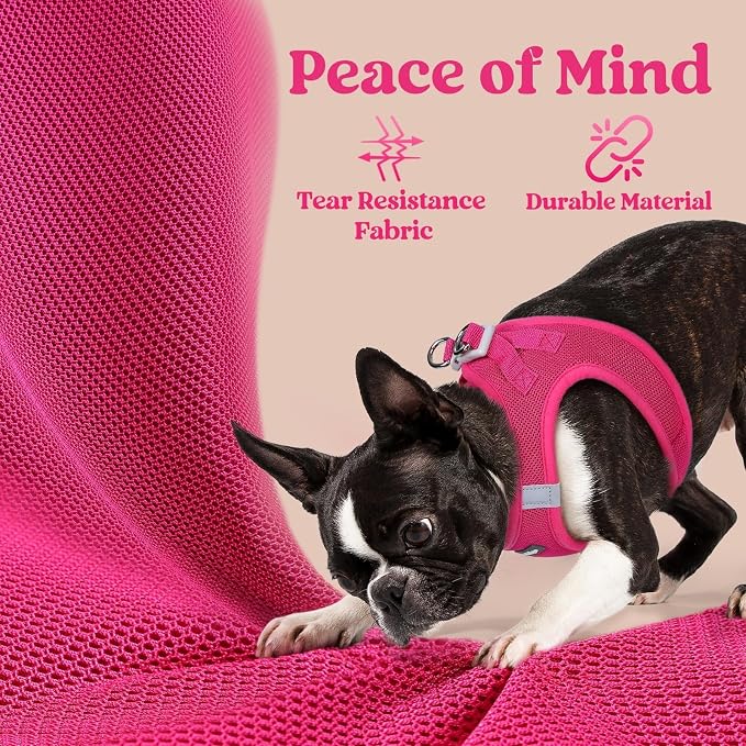 rabbitgoo Step-in Small Dog Harness, Puppy Vest for Small Sized Pet | Easy Put on and off, Lightweight, Soft, Breathable Quick-Dry Air Mesh for Comfortable Secure Walking, Rose Red XXS