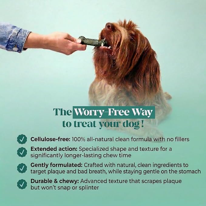 Pet Honesty Brush Buddies All Natural Dog Dental Treats for Dogs – Long Lasting Dental Sticks for Dogs, Teeth Cleaner, Breath Freshener, Plaque & Tartar Remover – Extra Small Dogs (40 Count)