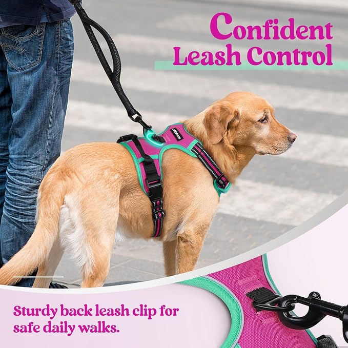 rabbitgoo Dog Harness, No Pull for Large Dogs with 2 Leash Clips, Pet Vest | No Choke with Handle, Adjustable Soft Padded, Reflective, Easy Control for Walking, Hot Pink & Turquoise, Large