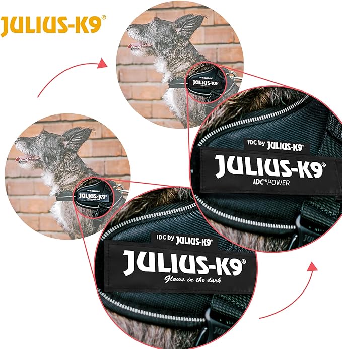 Julius-K9, 16IDC-DPN-M, IDC Powerharness, Dog Harness, Size: Mini, Dark Pink