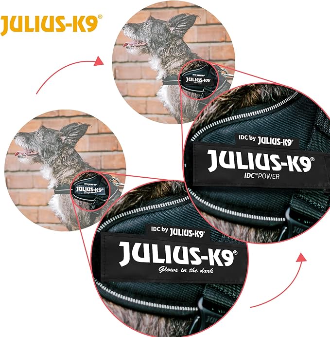 Julius-K9, 16IDC-PR-0, IDC Powerharness, Dog Harness, Size: 0, Purple